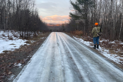 A person in a camouflage jacket and blaze orange hat walks on the side of an icy, wooded road, with hunting rifle.