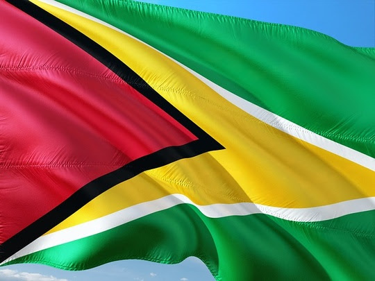Guyana Flag - Pixabay