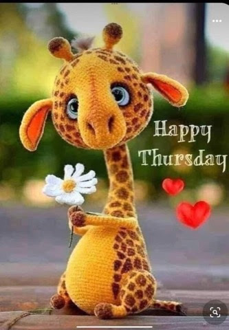 Thursday-Giraffe-Flower
