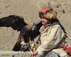 Image de Golden eagle in Mongolia