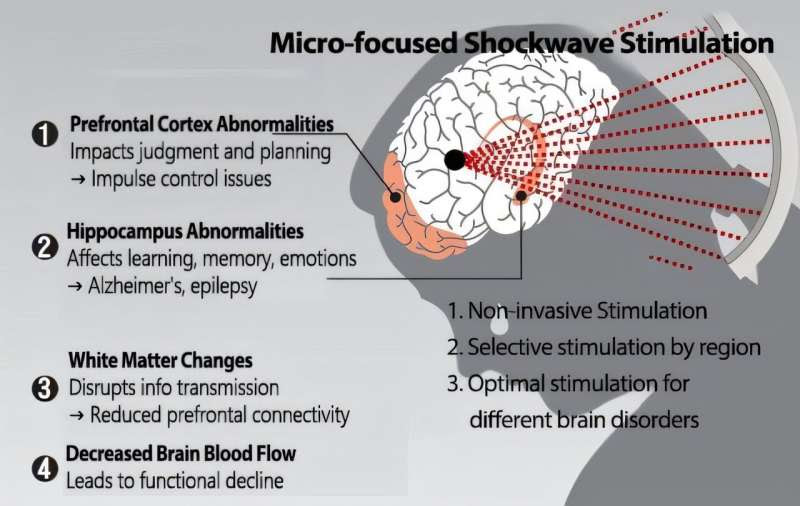 SNU researchers develops micro-shockwave electronic therapy for safe non-invasive treatment of brain disorders