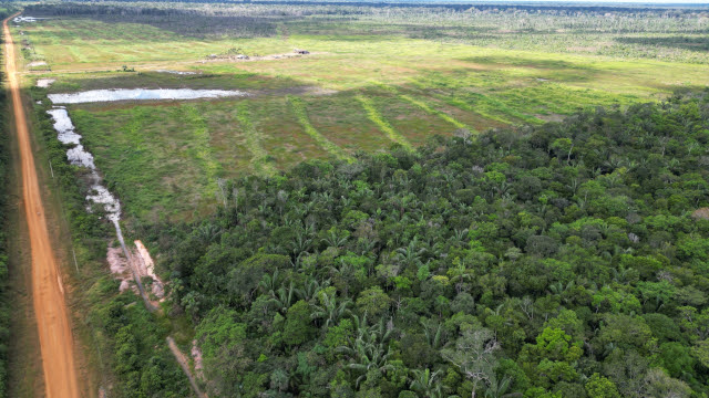 Natuurverwoesting in beeld in de Braziliaanse deelstaat Mato Grosso.