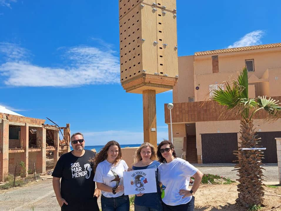 Celebran la primera torre para vencejos en La Manga