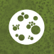 Mold