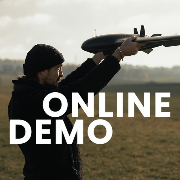 online-demo-2