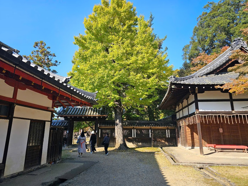 Sức hút của Todai-ji, ngôi chùa có lịch sử 1.200 năm ở Nara-Nhật Bản - Ảnh 12.