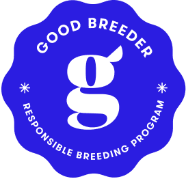 GOOD DOG *SUPPORTING GOOD BREEDERS*