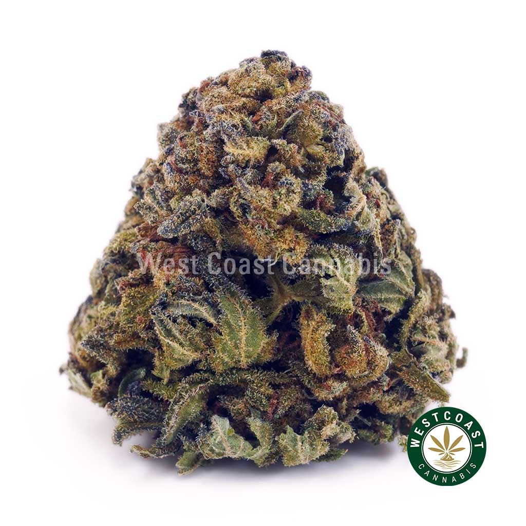Image of Romulan AA - Greenhouse