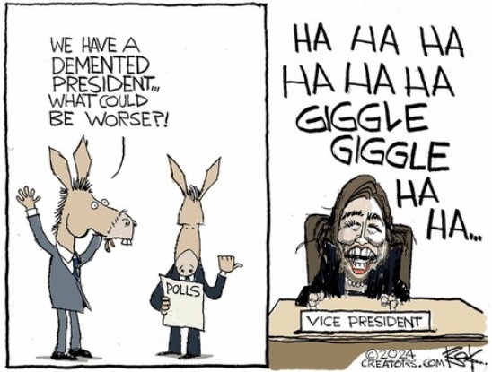 Democrat donkeys mocking Kamala Harris.