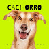 [News]THIAGO CARVALHO LANÇA O SINGLE “CACHORRO”