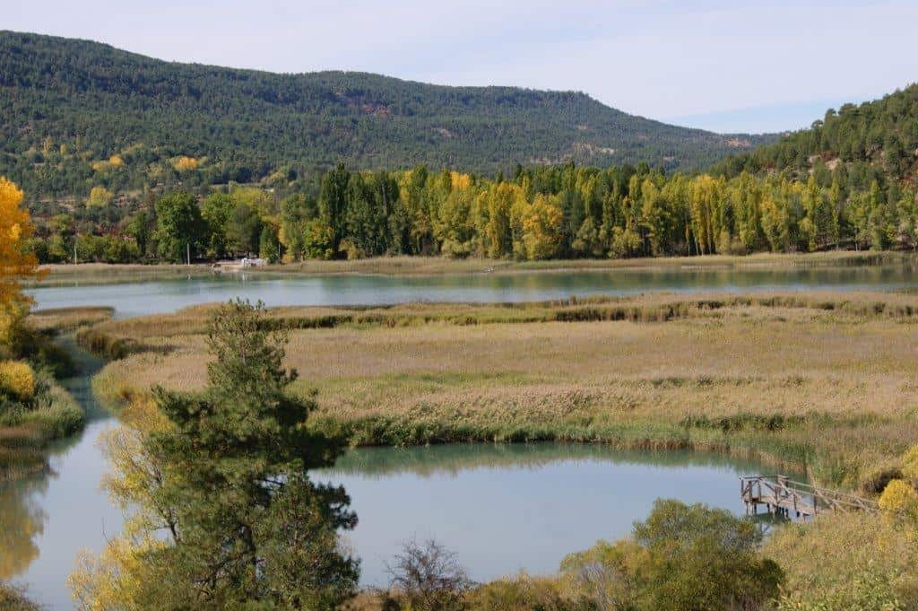 Las organizaciones ambientales reclaman un plan de gestión de ZEPA para esteparias que garantice un uso agrario compatible con la biodiversidad.