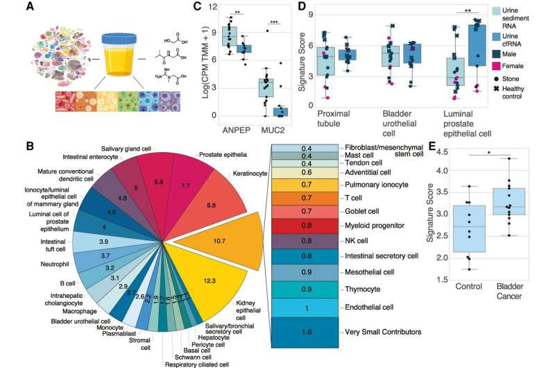 New research shows urine tests may detect early diseases