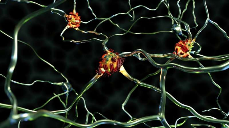 Alzheimer's research: Superspreader fibrils caught in the act