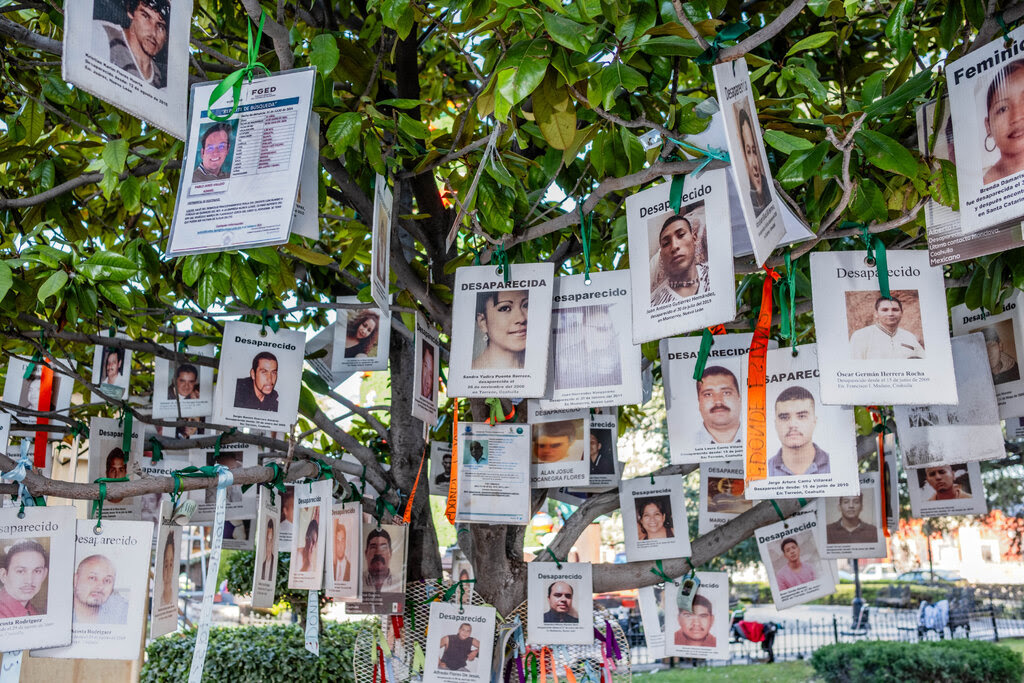 Photos of and information about missing men and women dangle with orange ribbons from the branches of a tree.