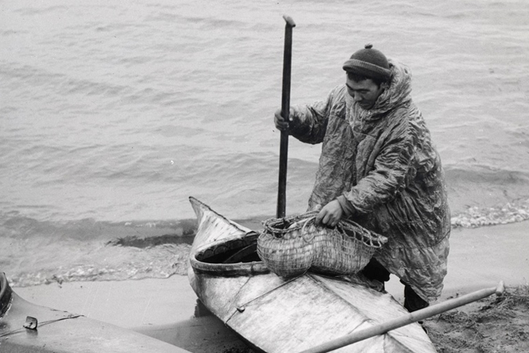 A Native Alaskan Yup'ik Eskimo preapares their gear over a kyak at the water's edge in this black and white image