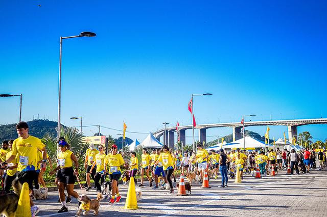 Cachorrida vai reunir 500 duplas neste sábado (Divulgação / Garoto)