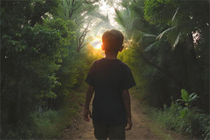 A young boy is walking down a path surrounded by dense greenery. He is mostly silhouetted by the sunset shining between the trees.