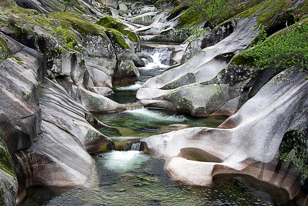 El agua de la Reserva Natural de la Garganta de los Infiernos se empleará para regar cerezos