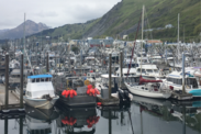 Boats docked in a marina in Kodiak, Alaska on an overcast day.