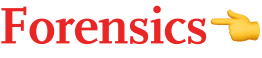 Forensics👈
