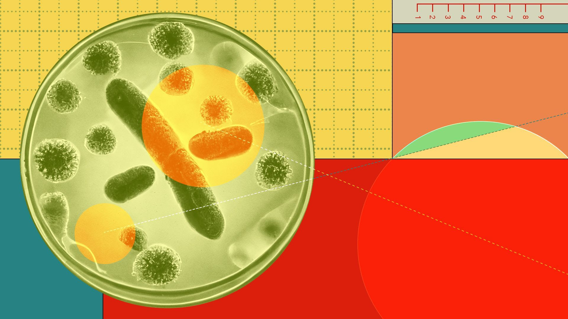 Illustration of a petri dish surrounded by various blocks of color, grids, and measurements