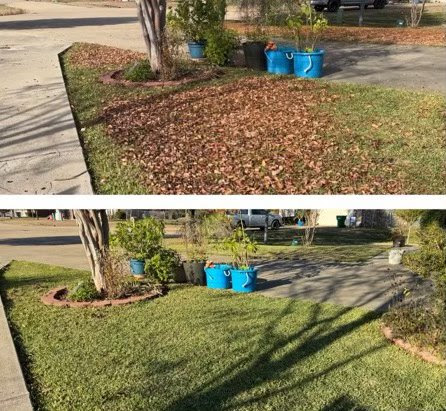 Before-After-Front-Yard