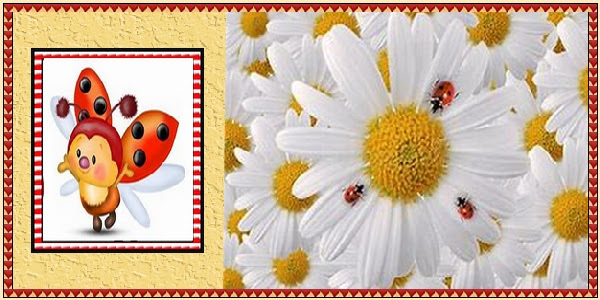 Kits signatures & avatars / Coccinelle U8fjQzD