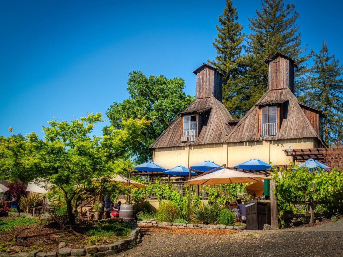 view of the winery grounds 