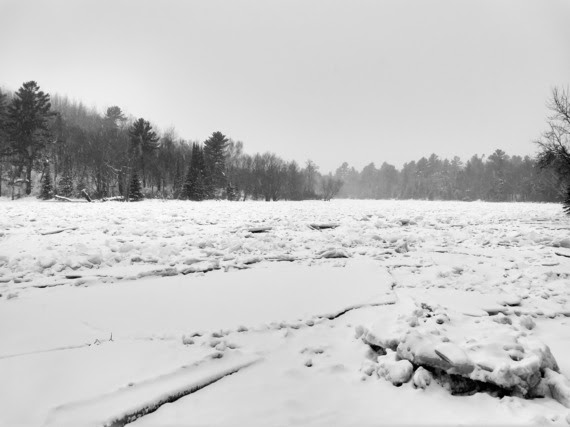 flambeau river state forest in winter