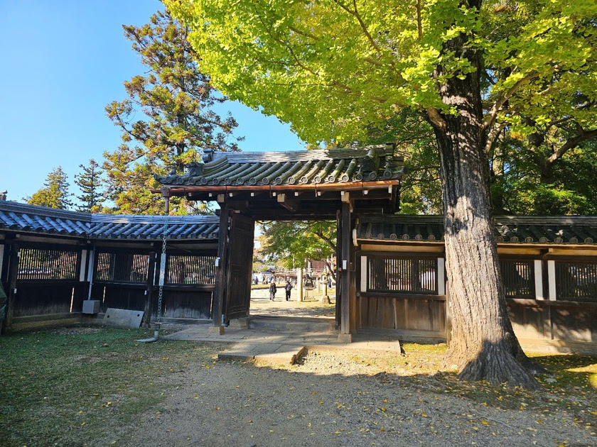 Sức hút của Todai-ji, ngôi chùa có lịch sử 1.200 năm ở Nara-Nhật Bản - Ảnh 6.