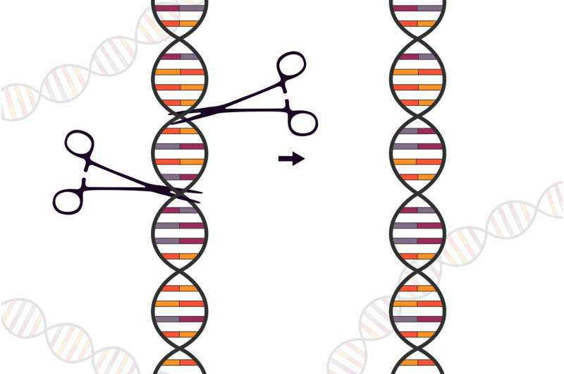 CRISPR-Cas