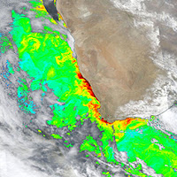 image of chlorophyll data over South Africa