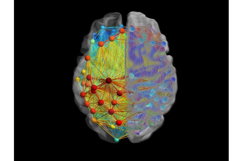 Pathway behind stress-triggered migraines discovered