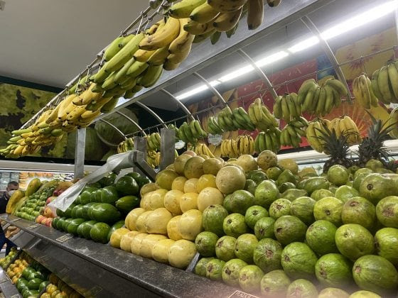 Evitar pérdida de alimentos es prioridad para las personas, el ambiente y la economía, explica bióloga venezolana