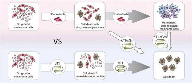 Nature may provide the key to beating drug resistant melanoma