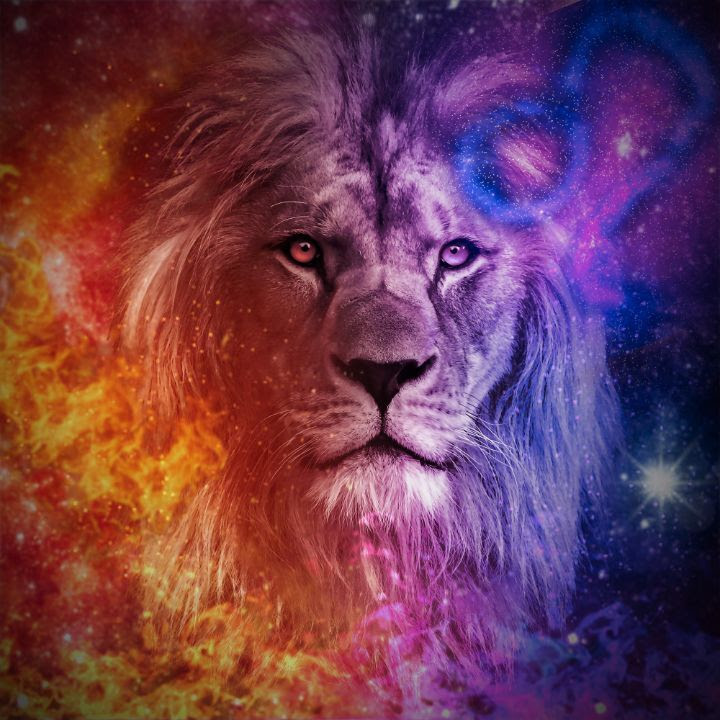 New Moon at 12 degrees of Leo the Lion