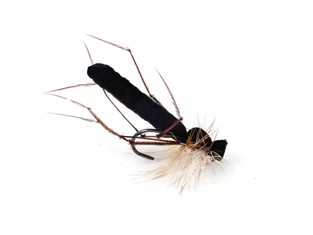 Image of Aero Daddy