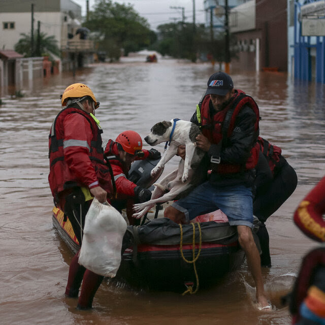 Rescue workers haul a dog a flooded street onto a boat. 