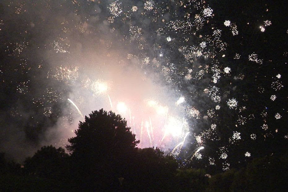 VIDÉO. 'J'en ai eu plein les yeux' : revivez le feu d'artifice du 14-Juillet à Grenoble, tiré dans le quartier de la Villeneuve