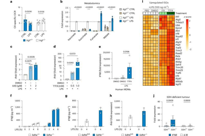 'Two for the price of one'—Scientists discover new process to drive anti-viral immunity