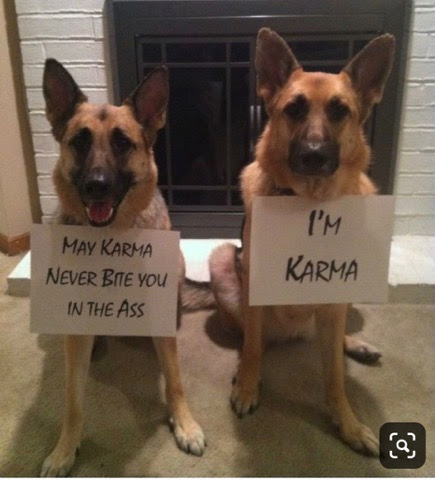 Dog-Karma