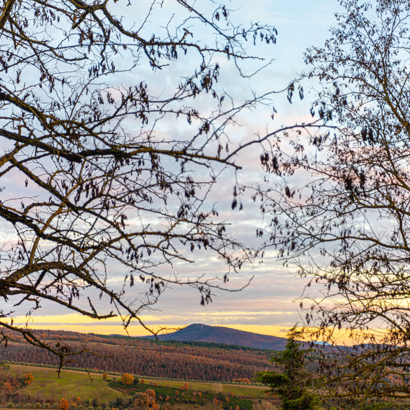 Clima e diritti umani - Unistrasi firma un protocollo di cooperazione con Riserva della Biosfera Unesco del Monte Peglia