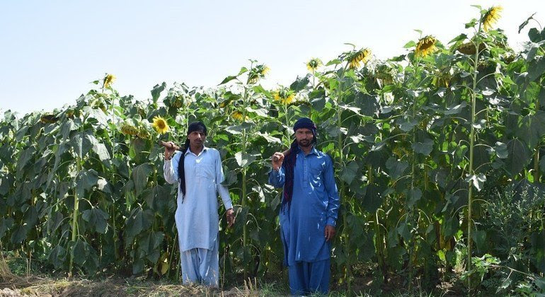 [UN News photo]