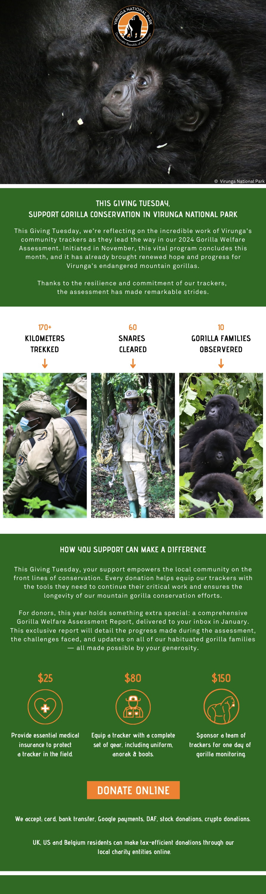 This Giving Tuesday, we’re reflecting on the incredible work of Virunga’s community trackers as they lead the way in our 2024 Gorilla Welfare Assessment.