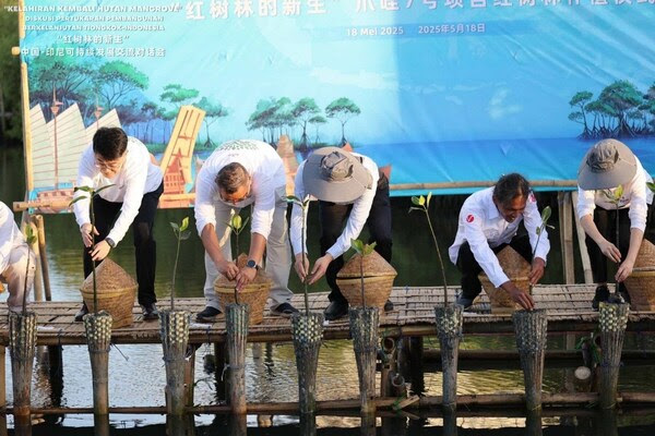 Para tamu undangan juga turut melakukan penanaman kembali hutan mangrove dalam rangkaian acara "Kelahiran Kembali Hutan Mangrove"