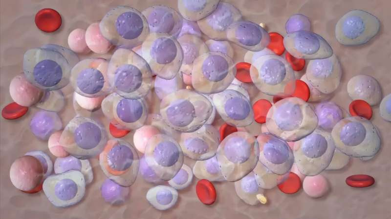 New treatment may delay cancer in high-risk myeloma