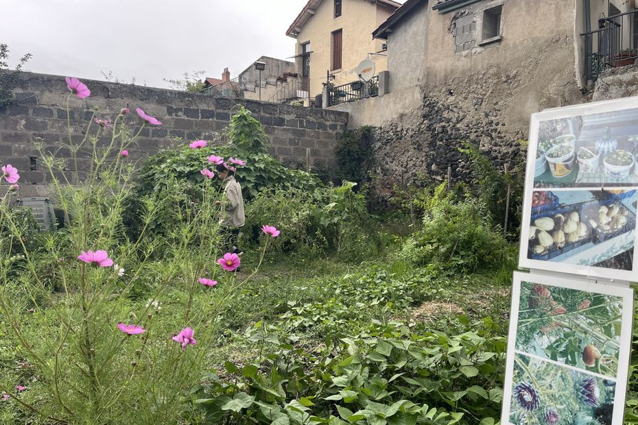 'Jardiner ici me détend et me redonne le moral' : les bienfaits de ce jardin partagé