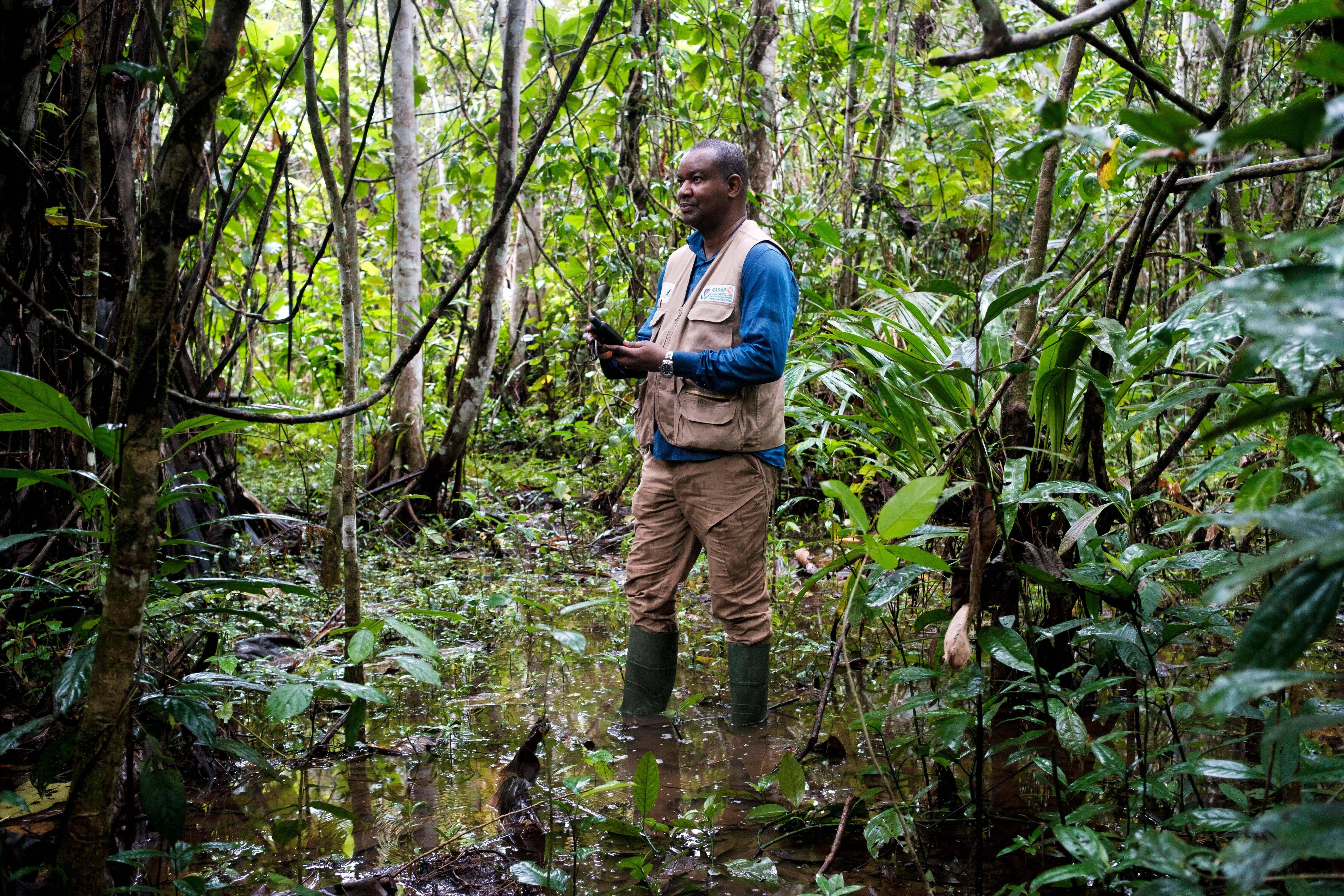 Rolex Awards for Enterprise Laureate Inza Koné in the Tanoé-Ehy Forest in south-eastern Côte d’Ivoire. Koné was the first primatologist from Côte d’Ivoire and one of the first in Africa.
© Rolex/Nyani Quarmyne