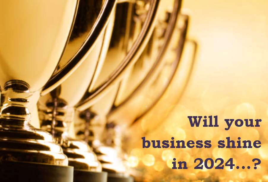Image for Businesses shining in 2024