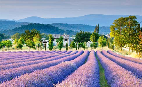 Lyon and Provence